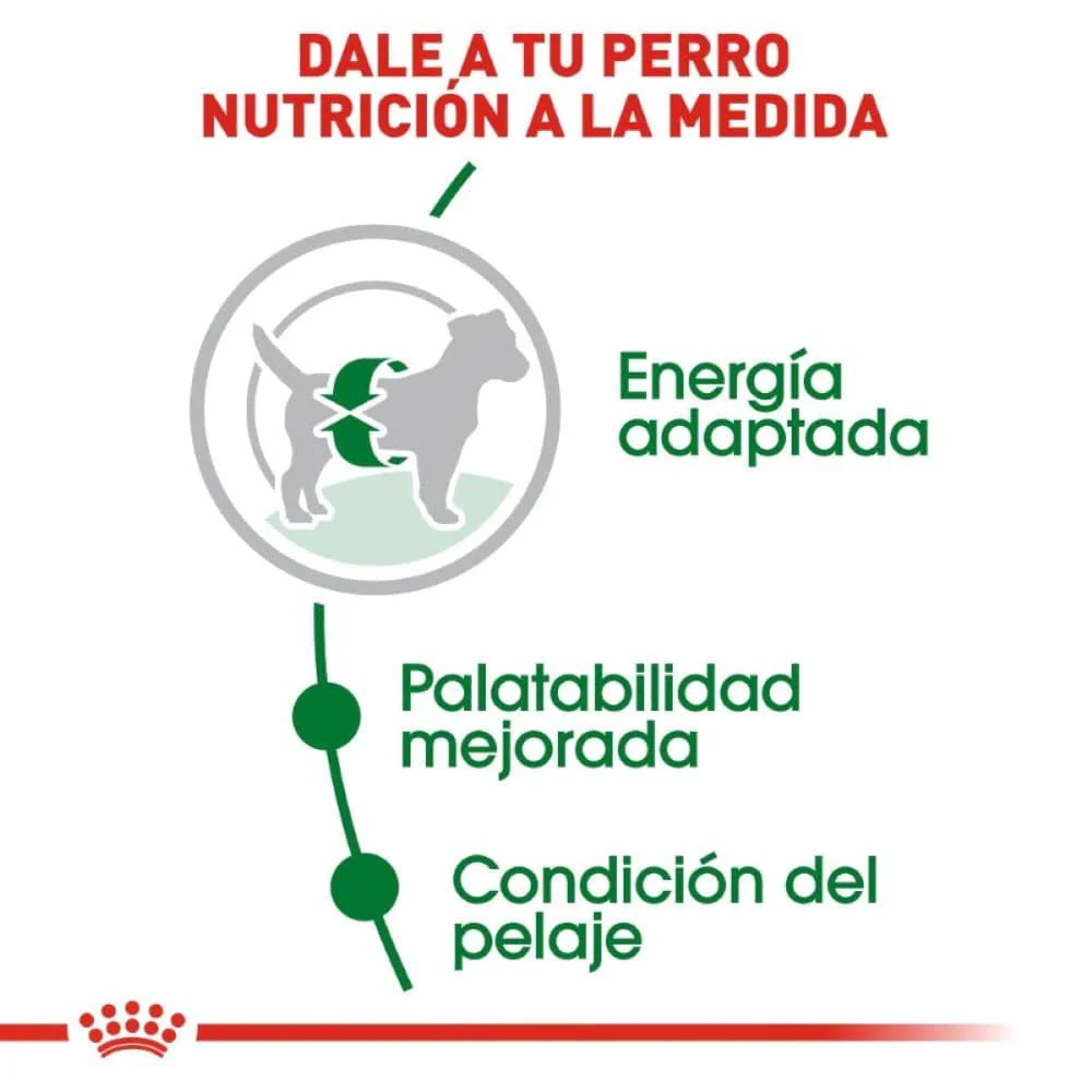 Royal Canin Small Mini Adult Alimento para Perro Adulto Razas Pequeñas 1.14 Kg - Imagen 5