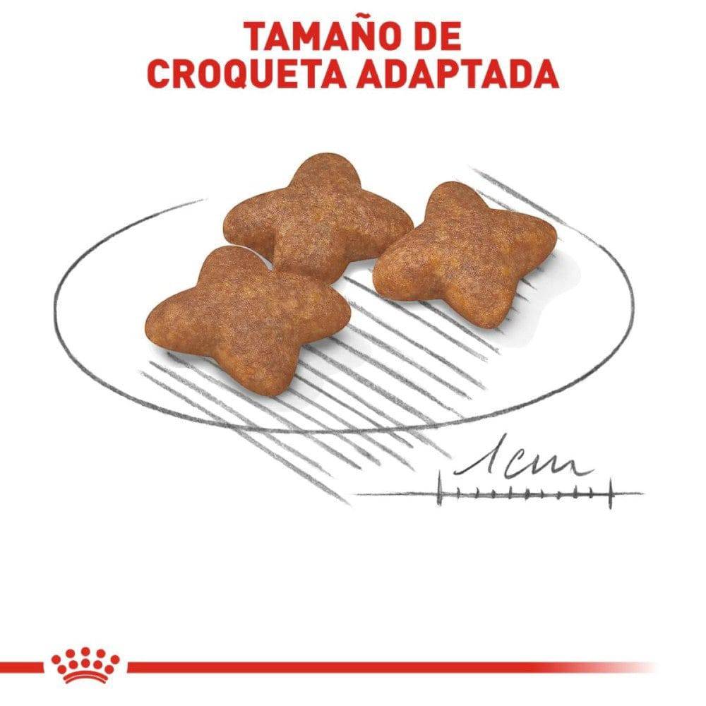 Royal Canin Small Mini Adult Alimento para Perro Adulto Razas Pequeñas 1.14 Kg - Imagen 6