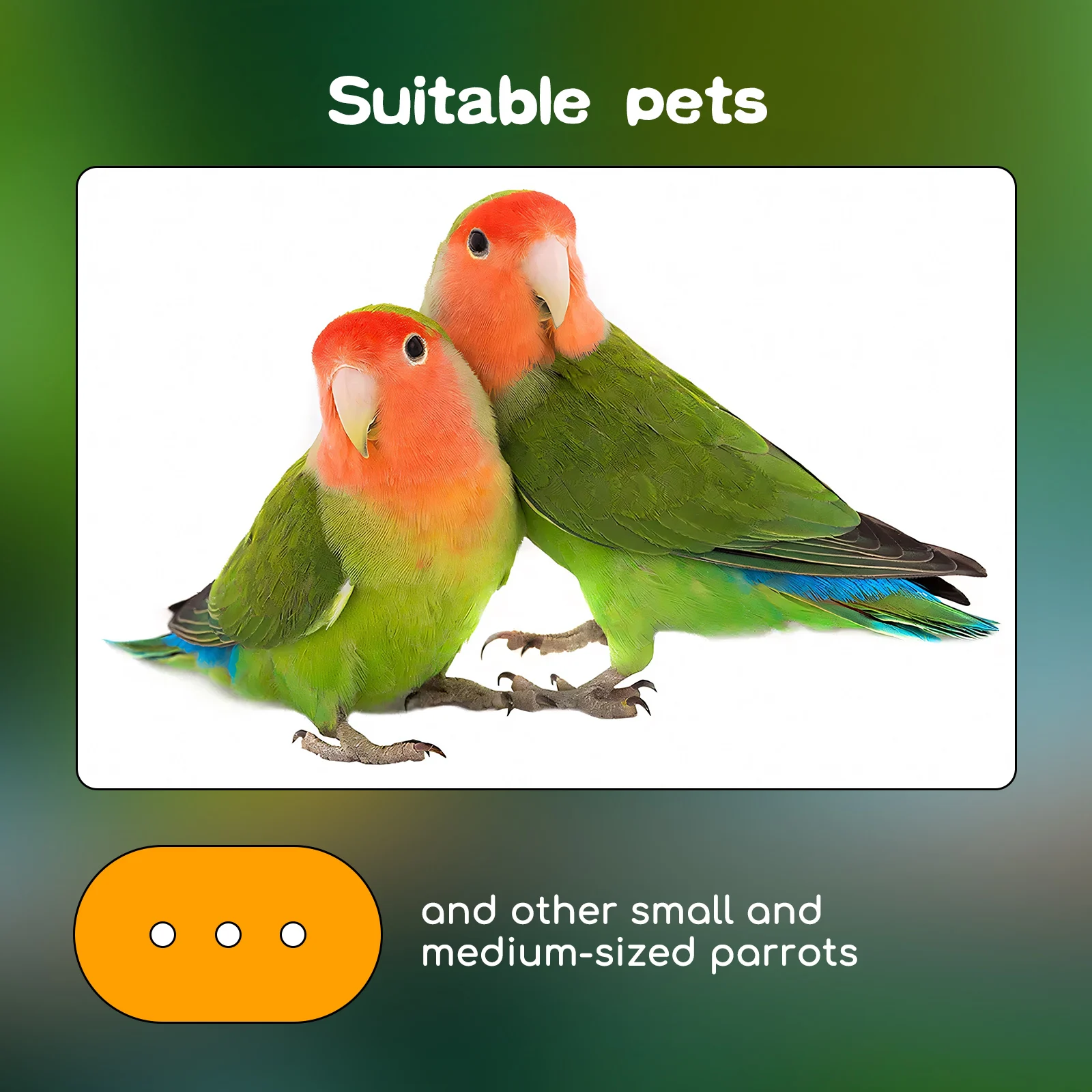Nobleza Premium Bird Food Lovebirds 4×900 g - Imagen 6