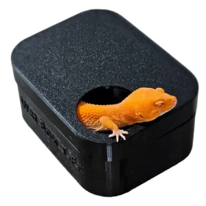 Caja Húmeda