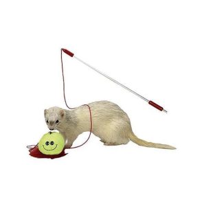 Caña con Juguete de Peluche para Hurones – Marshall