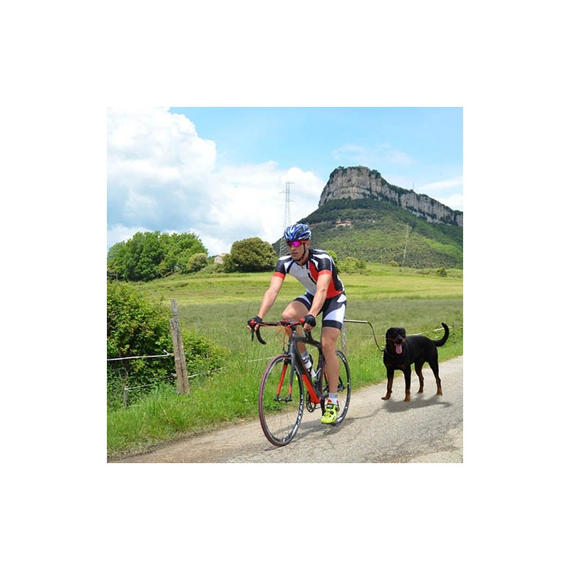 Correa DogCycle - Imagen 2