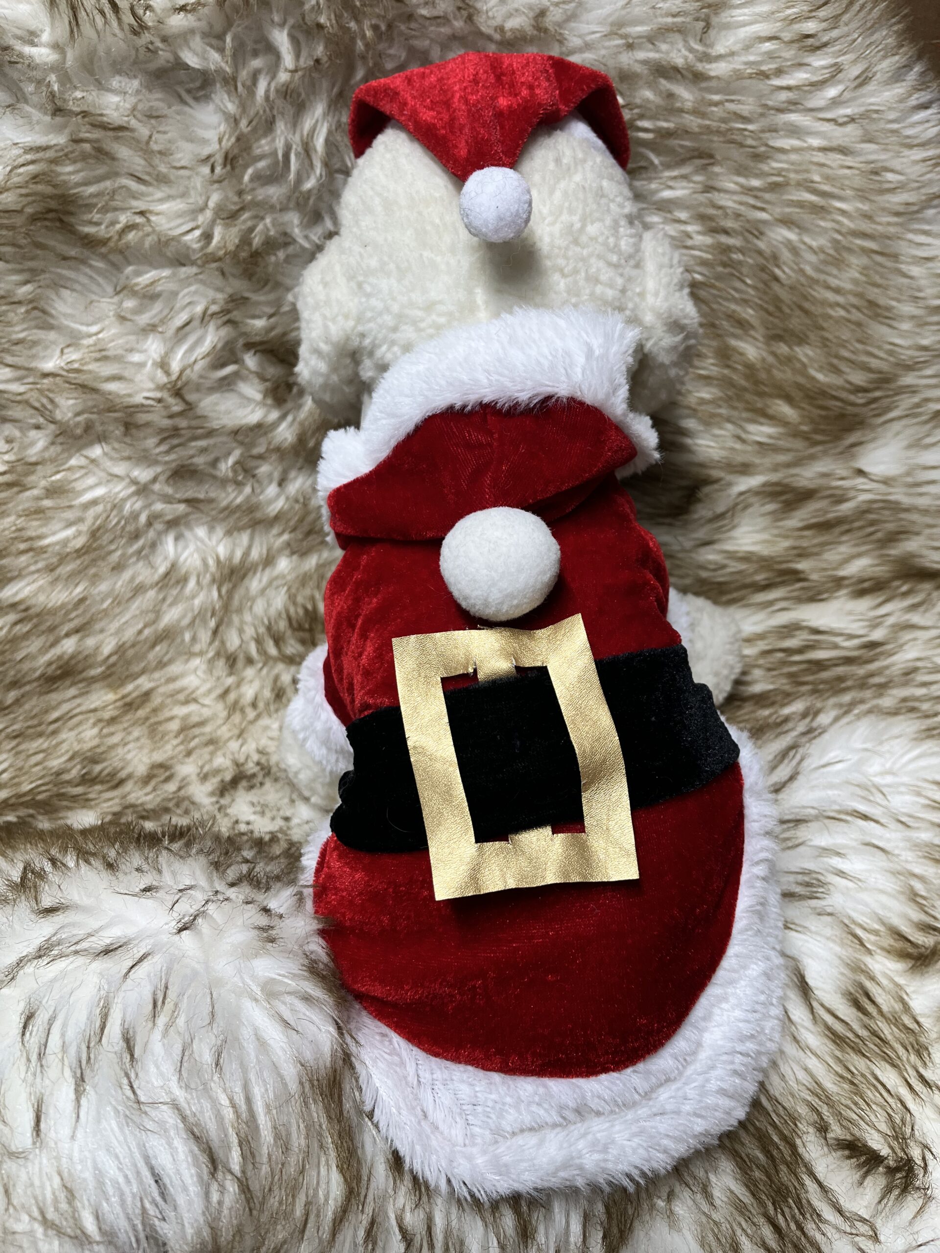 Disfraz de Papá Noel para Perros y Gatos