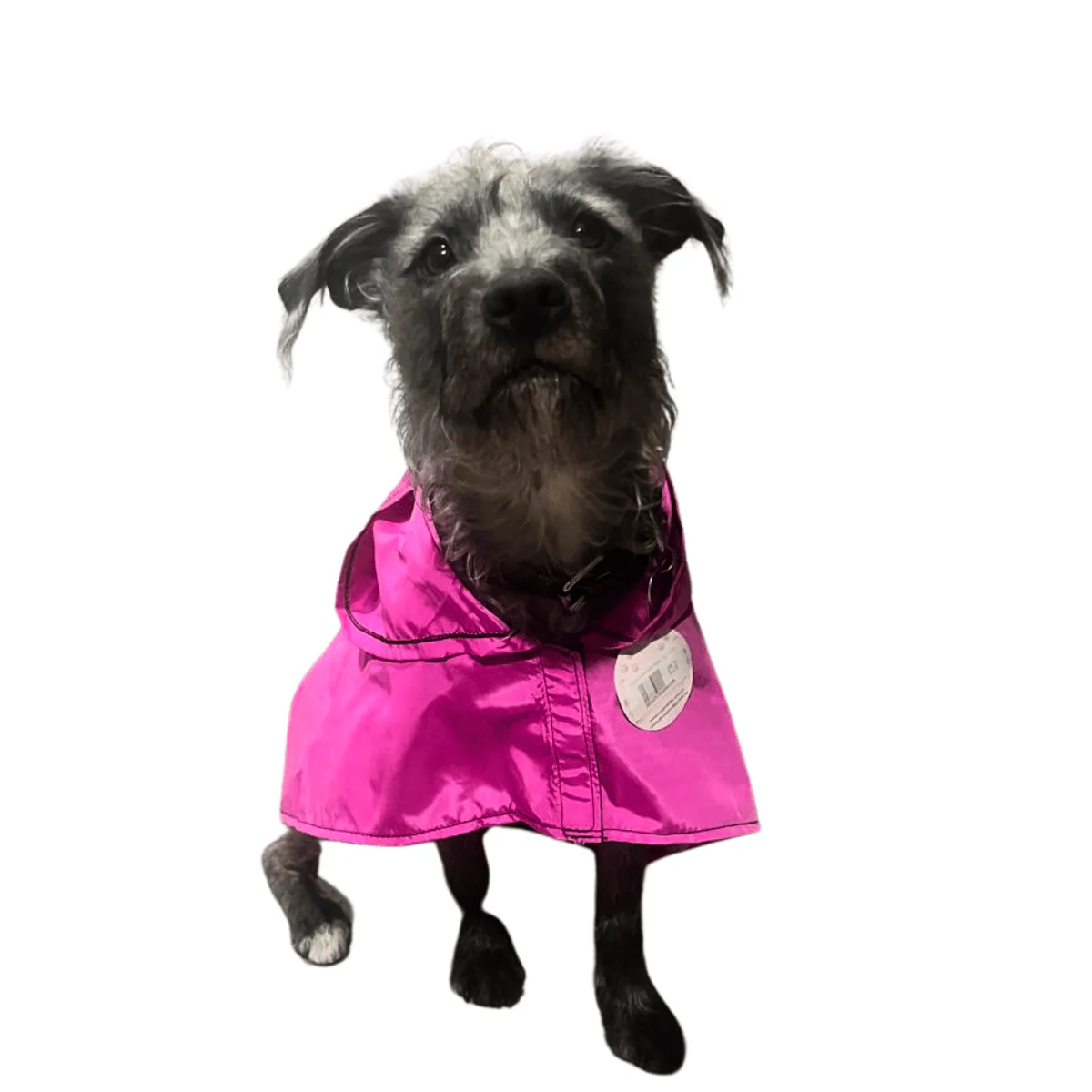 Impermeable perro chico Para Lluvia Rosa Talla XL