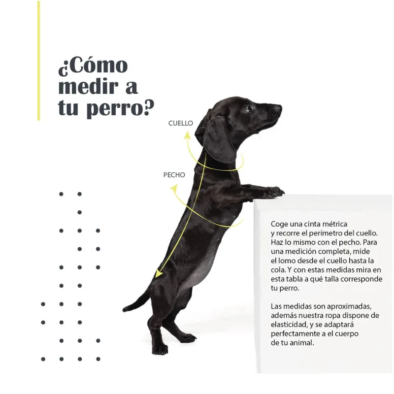 Jersey New Basic para Perro – Arppe - Imagen 3