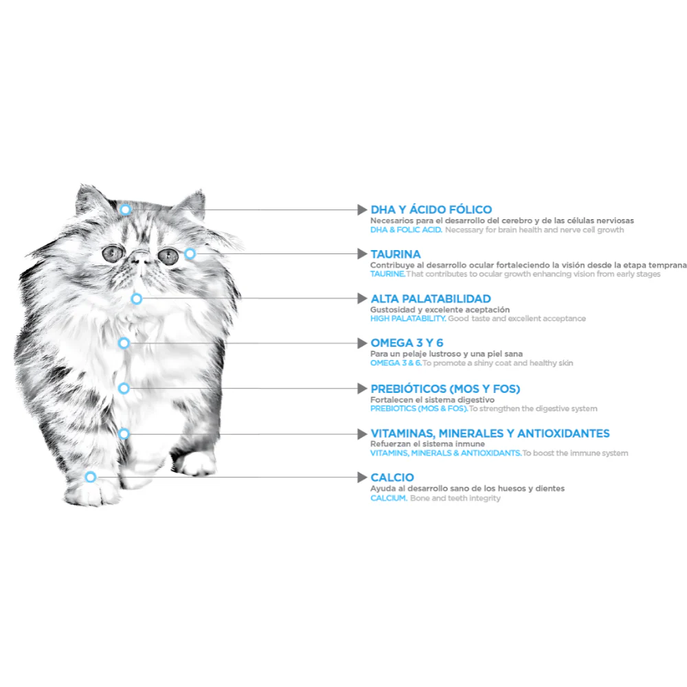 Nupec Felino Kitten 3 Kg - Imagen 3