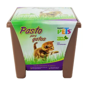 Pasto para Gatos