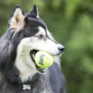 Pelota SqueakAir para Perros – KONG