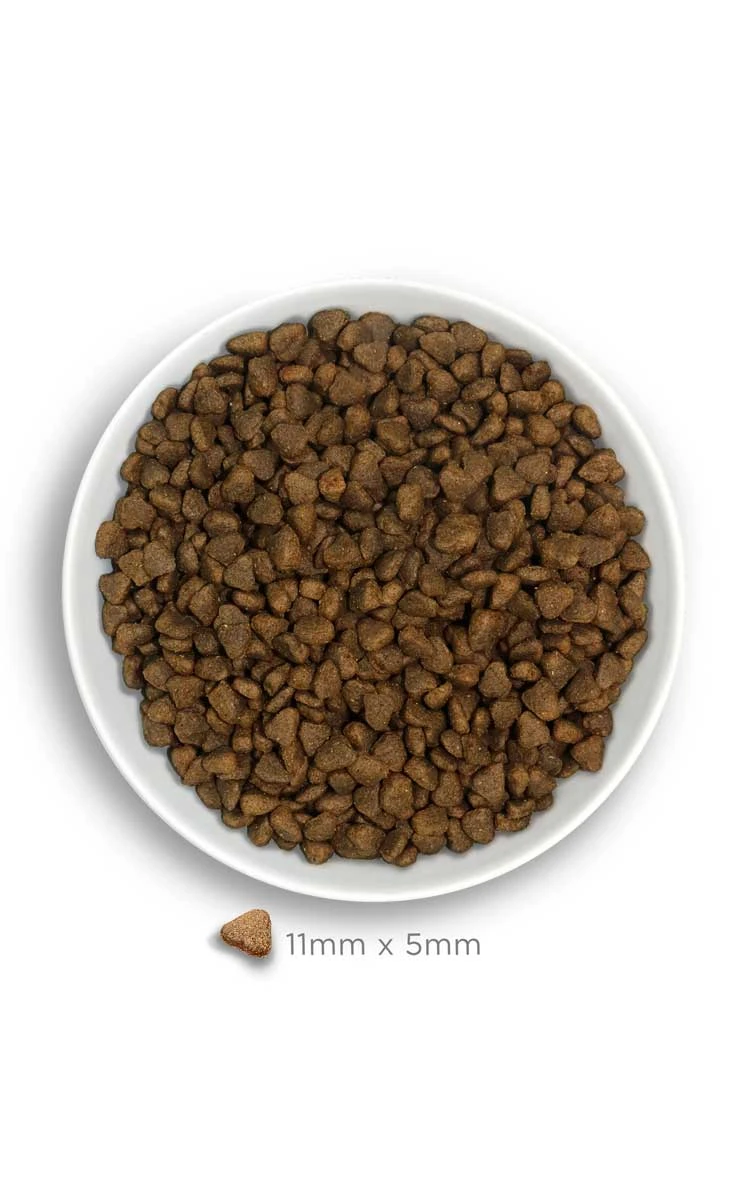Pienso Adult Mini Sensitive Salmón y Calabaza – Amanova - Imagen 4