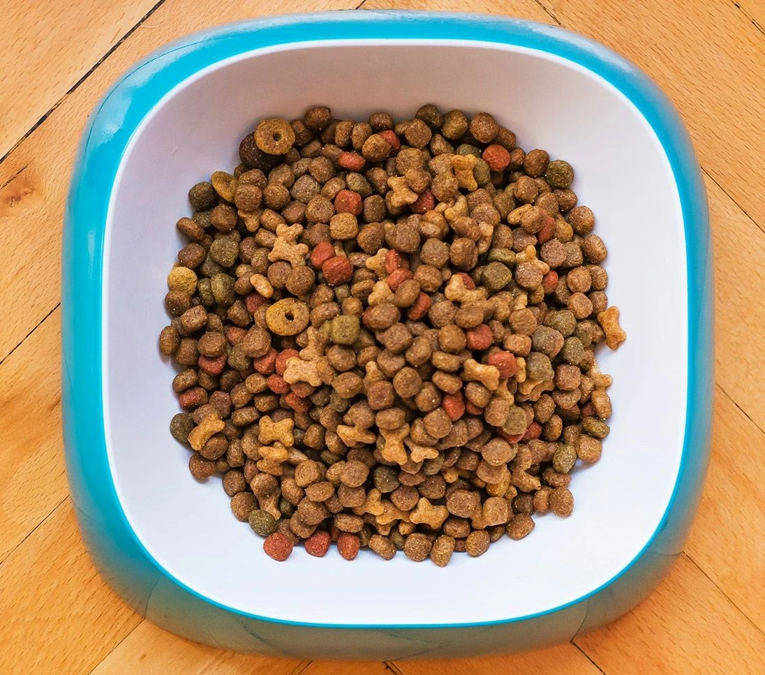 Pienso para Gato Adulto de Pavo y Pato Sin Cereales – Primordial - Imagen 2